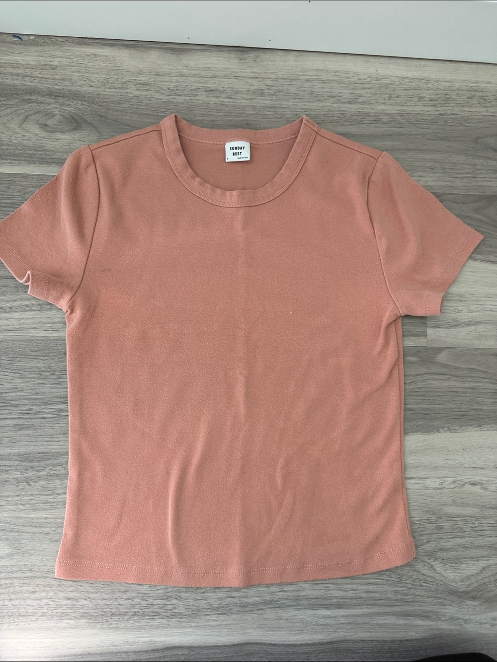 Sunday Best Short Sleeve Tee in Rose Clay